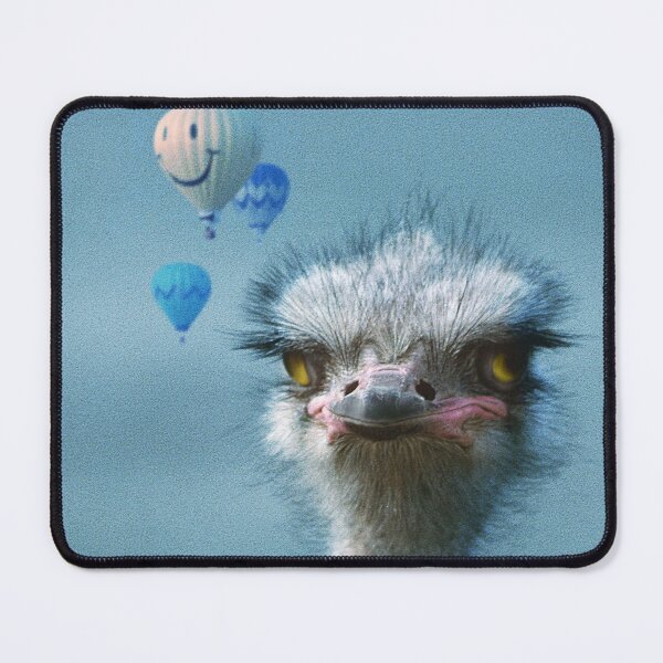 Item preview, Ostrich and Balloons Whimsical Photo designed and sold by DEC02.
