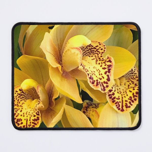 Item preview, Yummy Yellow Orchid With Luxurious Magenta Red Spots Art Photo designed and sold by DEC02.