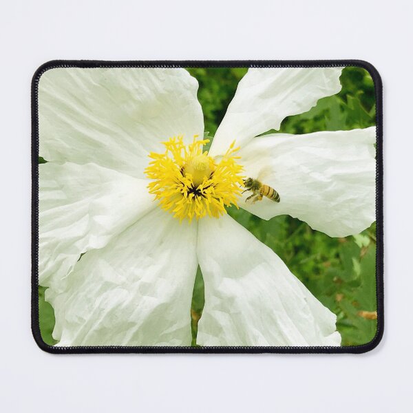 Item preview, White Wild Rose With Bee Art Photo designed and sold by DEC02.