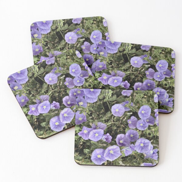 Item preview, Morning Glory - Convolvulus sabatius Blooming designed and sold by Paul Yeatman.