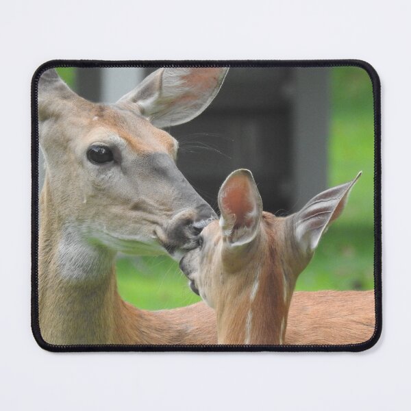 Item preview, White Tailed Deer Doe with Fawn designed and sold by priesterjen.