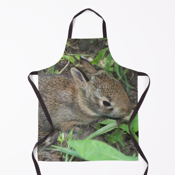 Item preview, Cottontail Rabbit Kit designed and sold by priesterjen.