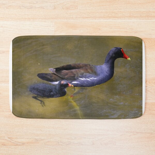 Item preview, Moorhen and Chick Swimming designed and sold by MercerImages.