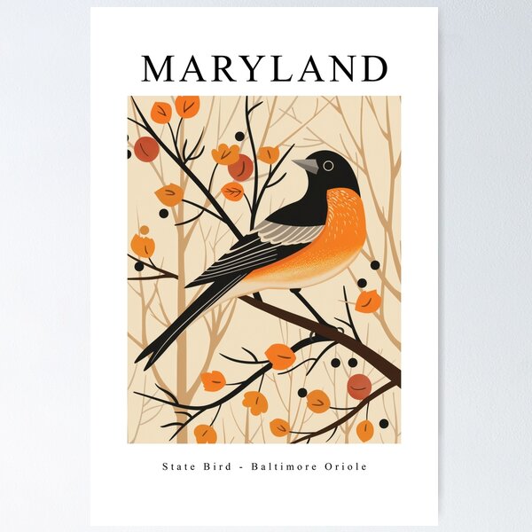 Item preview, MARYLAND State Bird - Baltimore Oriole designed and sold by MarkedArtPrints.
