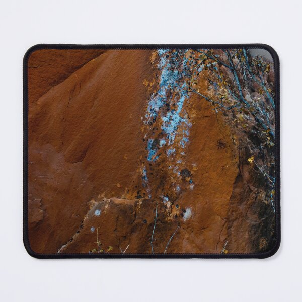 Item preview, Blue Lichen at Arches National Park designed and sold by Wayne King.