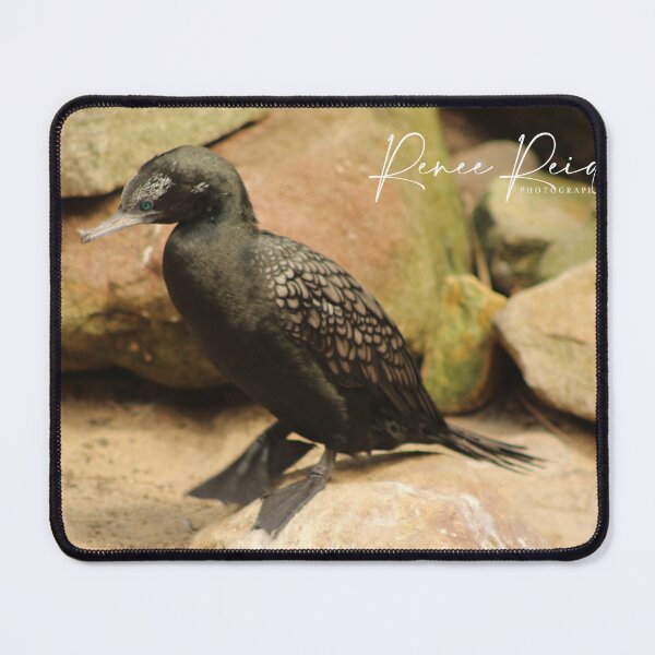Item preview, WaterBird designed and sold by RREID84.
