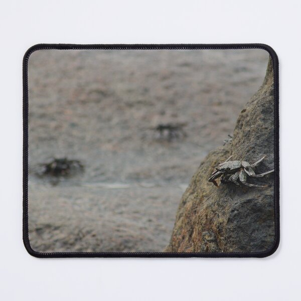 Item preview, Low Tide Wanderer designed and sold by AspenEyesPhotography.