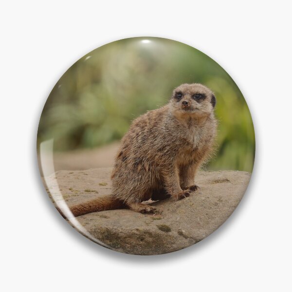 Item preview, The Lookout designed and sold by AspenEyesPhotography.
