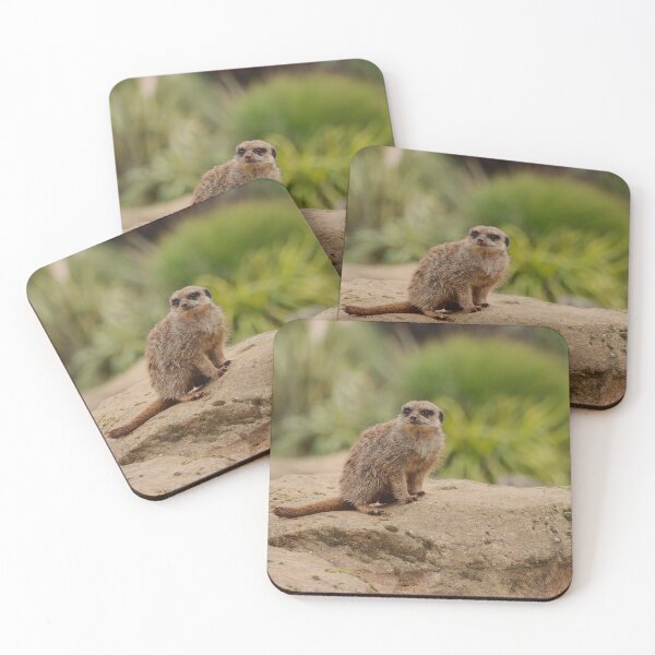 Item preview, The Lookout designed and sold by AspenEyesPhotography.