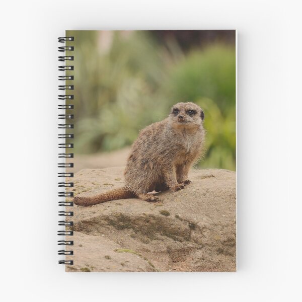 Item preview, The Lookout designed and sold by AspenEyesPhotography.