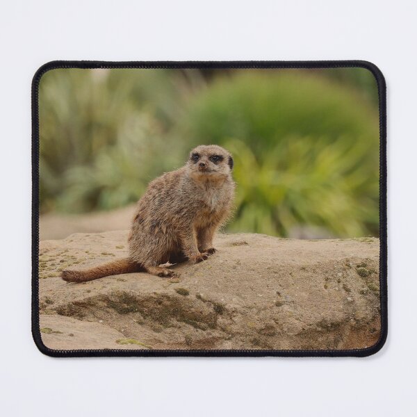 Item preview, The Lookout designed and sold by AspenEyesPhotography.