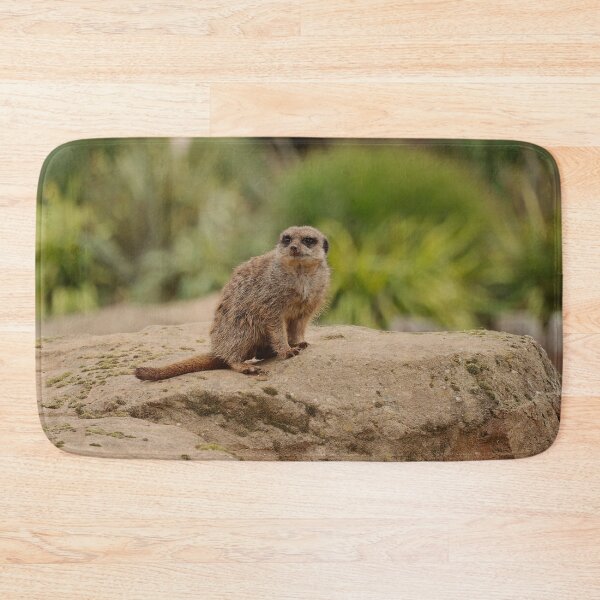 Item preview, The Lookout designed and sold by AspenEyesPhotography.