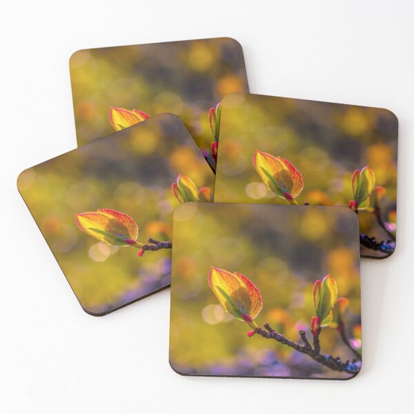 Item preview, May, spring time designed and sold by Veikko  Suikkanen.