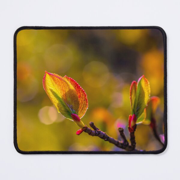 Item preview, May, spring time designed and sold by Veikko Suikkanen.