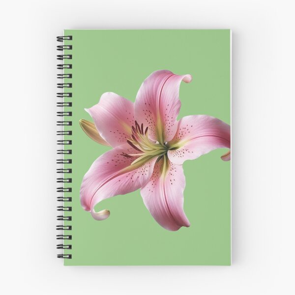 Artikelvorschau, Wanddekoration mit weichen Blütenblättern in Rosa Lilien entworfen und verkauft von bvdesignart.