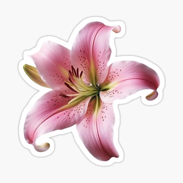 Aperçu de l'œuvre Décoration murale à pétales doux de lys roses créée et vendue par bvdesignart.