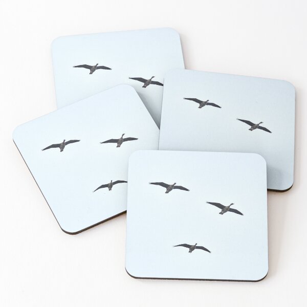 Item preview, Three times Greater white-fronted goose designed and sold by Jouko Lehto Photography.