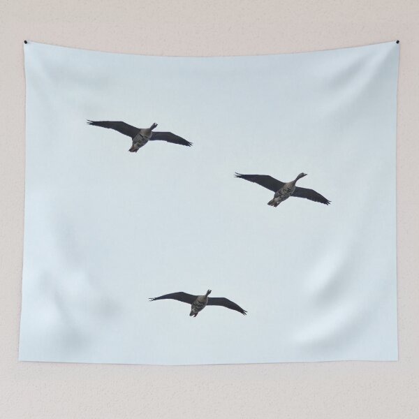 Item preview, Three times Greater white-fronted goose designed and sold by Jouko Lehto Photography.