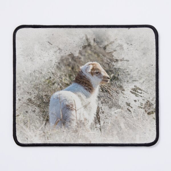 Item preview, Watercolour Photograph Welsh Mountain Lamb designed and sold by Jane Stanley Photography.