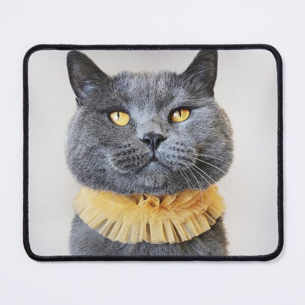 Item preview, British Shorthair Cat Portrait designed and sold by caracatita75.