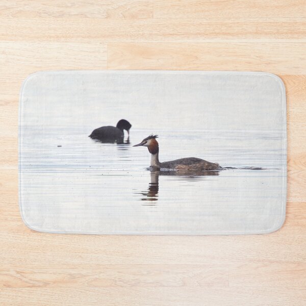 Item preview, The coot photobomb. Great crested grebe designed and sold by Jouko Lehto Photography.