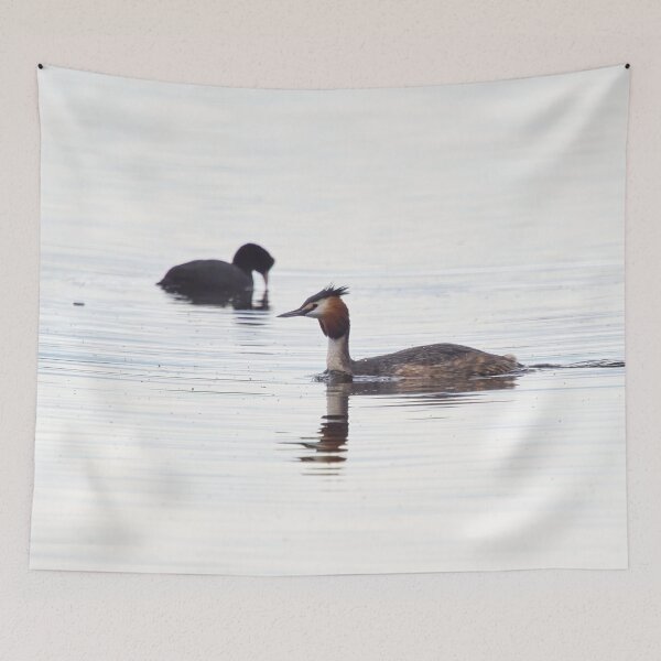 Item preview, The coot photobomb. Great crested grebe designed and sold by Jouko Lehto Photography.