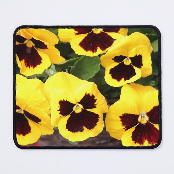 Item preview, Giant Yellow Pansy flowers designed and sold by Bird22Shot.