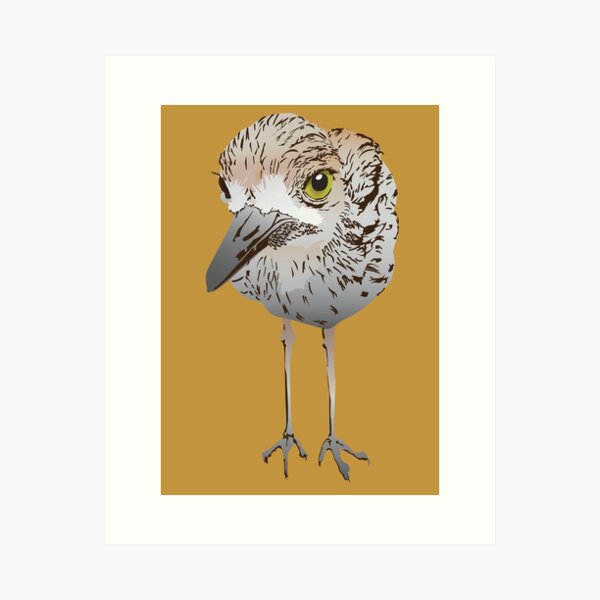Item preview, Bush Stone Curlew, endangered bird designed and sold by ASKEW GRAPHICS.