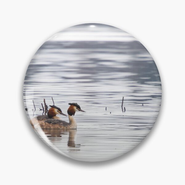 Artikelvorschau, Haubentaucher, Kuva-Lehto, Lehtokukka Fotografie, Lintu, Podiceps cristatus, Vogel, Kevät, Luonto, Migration, Muutto, Natur, Silkkiuikku, Frühling, entworfen und verkauft von Jouko Lehto Photography.