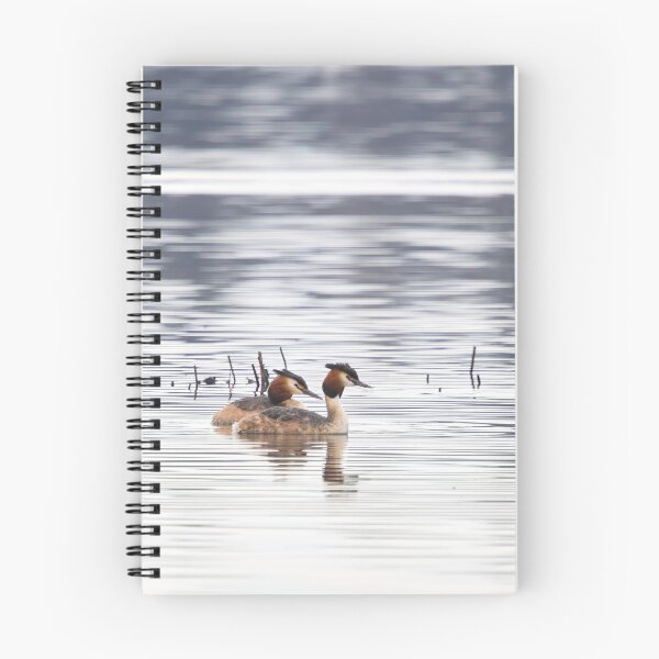Artikelvorschau, Haubentaucher, Kuva-Lehto, Lehtokukka Fotografie, Lintu, Podiceps cristatus, Vogel, Kevät, Luonto, Migration, Muutto, Natur, Silkkiuikku, Frühling, entworfen und verkauft von Jouko Lehto Photography.