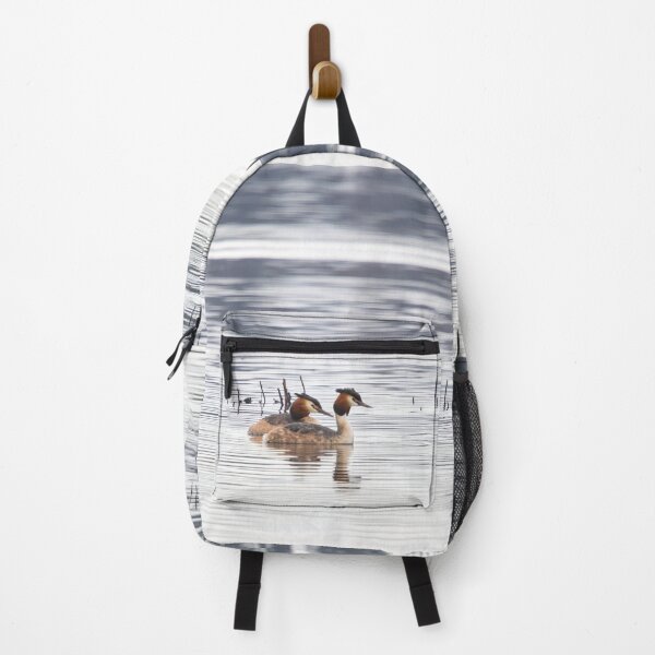 Item preview, Great crested grebe, Kuva-Lehto, Lehtokukka Photography, Lintu, Podiceps cristatus, bird, kevät, luonto, migration, muutto, nature, silkkiuikku, spring, designed and sold by Jouko Lehto Photography.