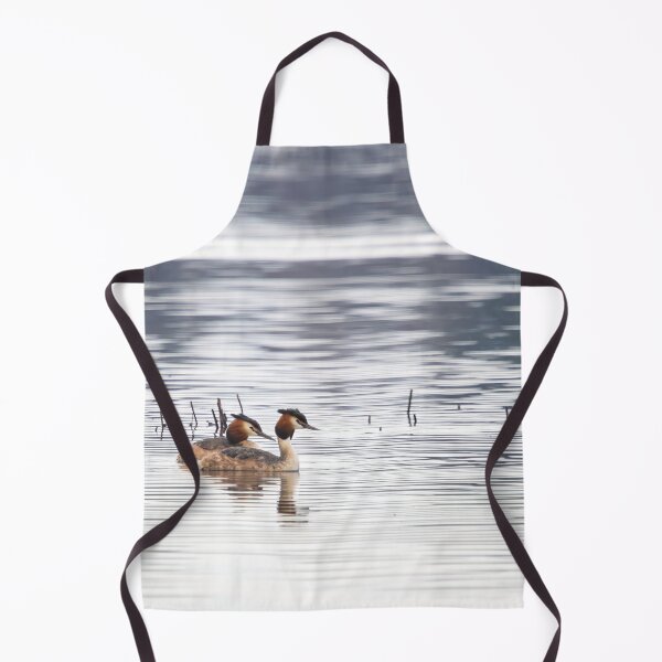 Item preview, Great crested grebe, Kuva-Lehto, Lehtokukka Photography, Lintu, Podiceps cristatus, bird, kevät, luonto, migration, muutto, nature, silkkiuikku, spring, designed and sold by Jouko Lehto Photography.