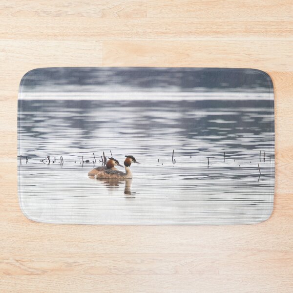 Item preview, Great crested grebe, Kuva-Lehto, Lehtokukka Photography, Lintu, Podiceps cristatus, bird, kevät, luonto, migration, muutto, nature, silkkiuikku, spring,  designed and sold by Jouko Lehto Photography.