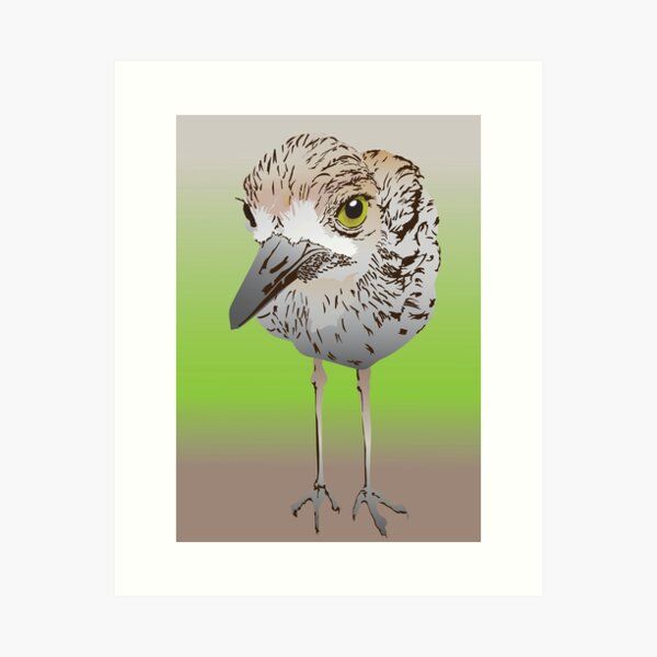 Item preview, Copy of Bush Stone Curlew, endangered bird designed and sold by ASKEW GRAPHICS.
