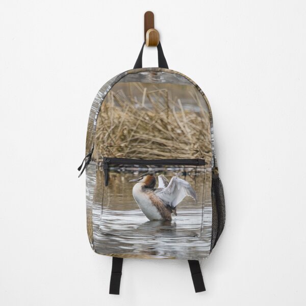 Item preview, Wings up. Great crested grebe designed and sold by Jouko Lehto Photography.