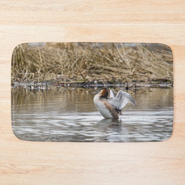 Item preview, Wings up. Great crested grebe designed and sold by Jouko Lehto Photography.