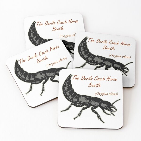 Item preview, The Devil's coach horse beetle.  designed and sold by PrestonSquires.