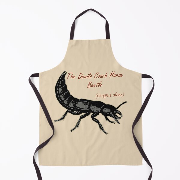 Item preview, The Devil's coach horse beetle.  designed and sold by PrestonSquires.