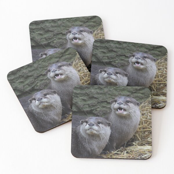 Item preview, Noisy by Nature designed and sold by AspenEyesPhotography.