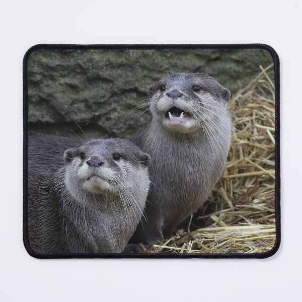 Item preview, Noisy by Nature designed and sold by AspenEyesPhotography.