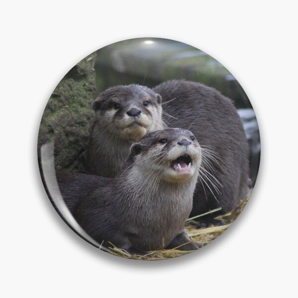 Item preview, The Watchful and the Wild designed and sold by AspenEyesPhotography.