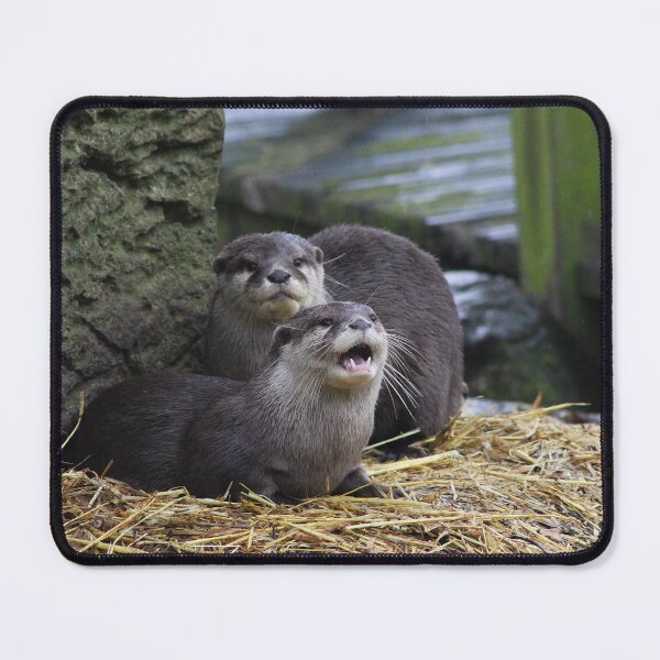 Item preview, The Watchful and the Wild designed and sold by AspenEyesPhotography.