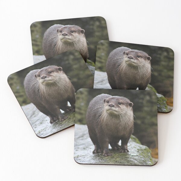 Item preview, Otterly Irresistible designed and sold by AspenEyesPhotography.