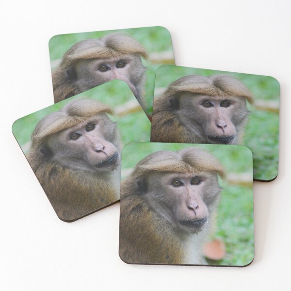 Item preview, Old World Wisdom designed and sold by AspenEyesPhotography.