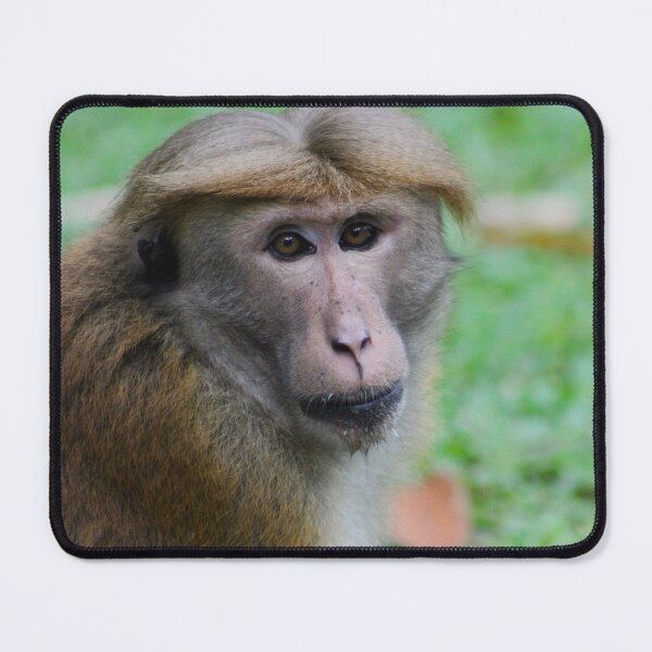 Item preview, Old World Wisdom designed and sold by AspenEyesPhotography.