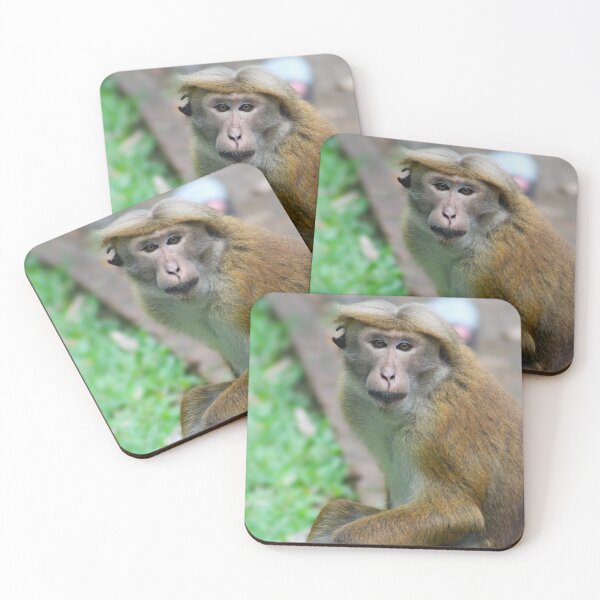 Item preview, The Thinker designed and sold by AspenEyesPhotography.