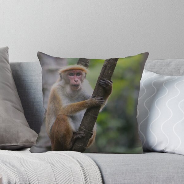 Item preview, Toque and Treetops designed and sold by AspenEyesPhotography.