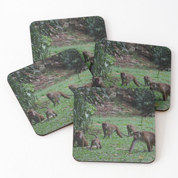 Item preview, March of the Macaques designed and sold by AspenEyesPhotography.