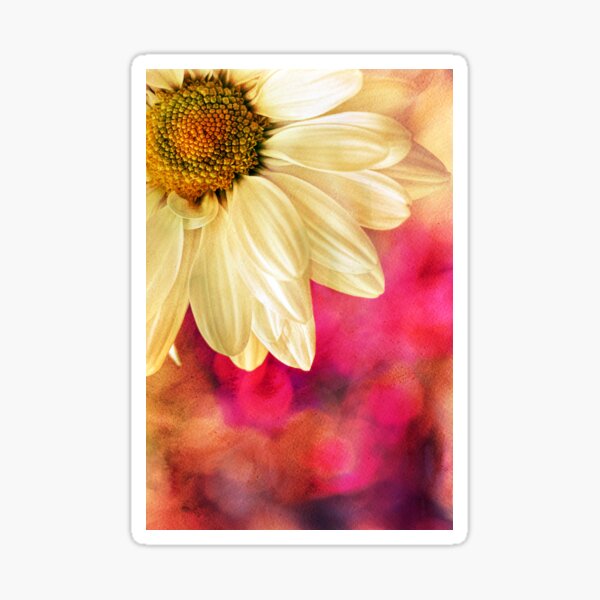 Item preview, Daisy - Golden on Pink designed and sold by micklyn.