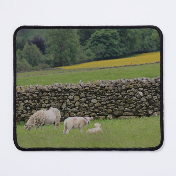 Item preview, Wonders of Spring designed and sold by AspenEyesPhotography.